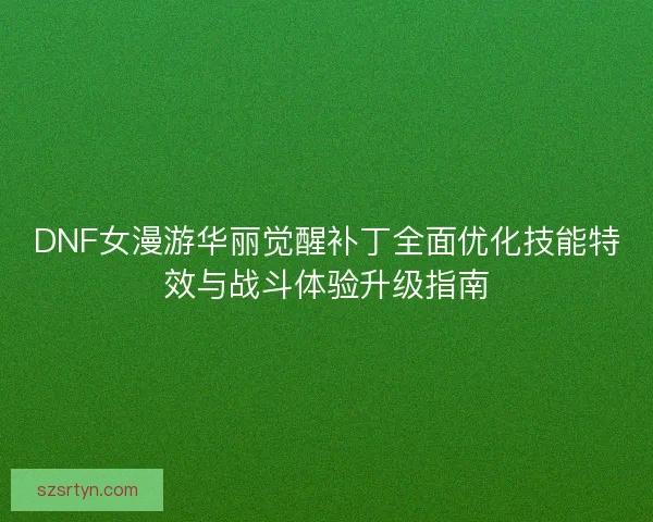 DNF女漫游华丽觉醒补丁全面优化技能特效与战斗体验升级指南